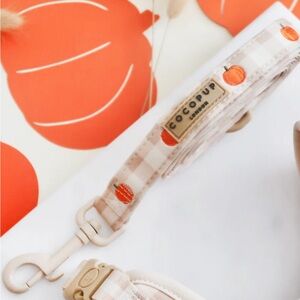 Pumpkin Patch Leash AND Matching Harness